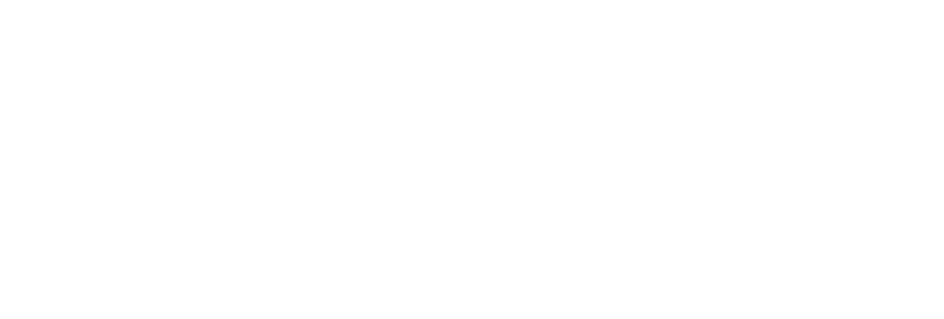 spartanlead